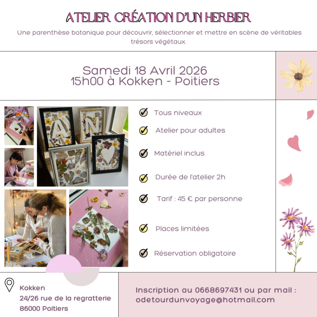 Ateliers_herbier_fleurs-sechees_poitou_charente_poitiers