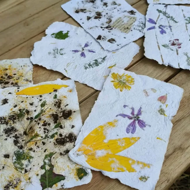 Ateliers autour des matières naturelles - fabrication de papier artisanal avec des fleurs séchées