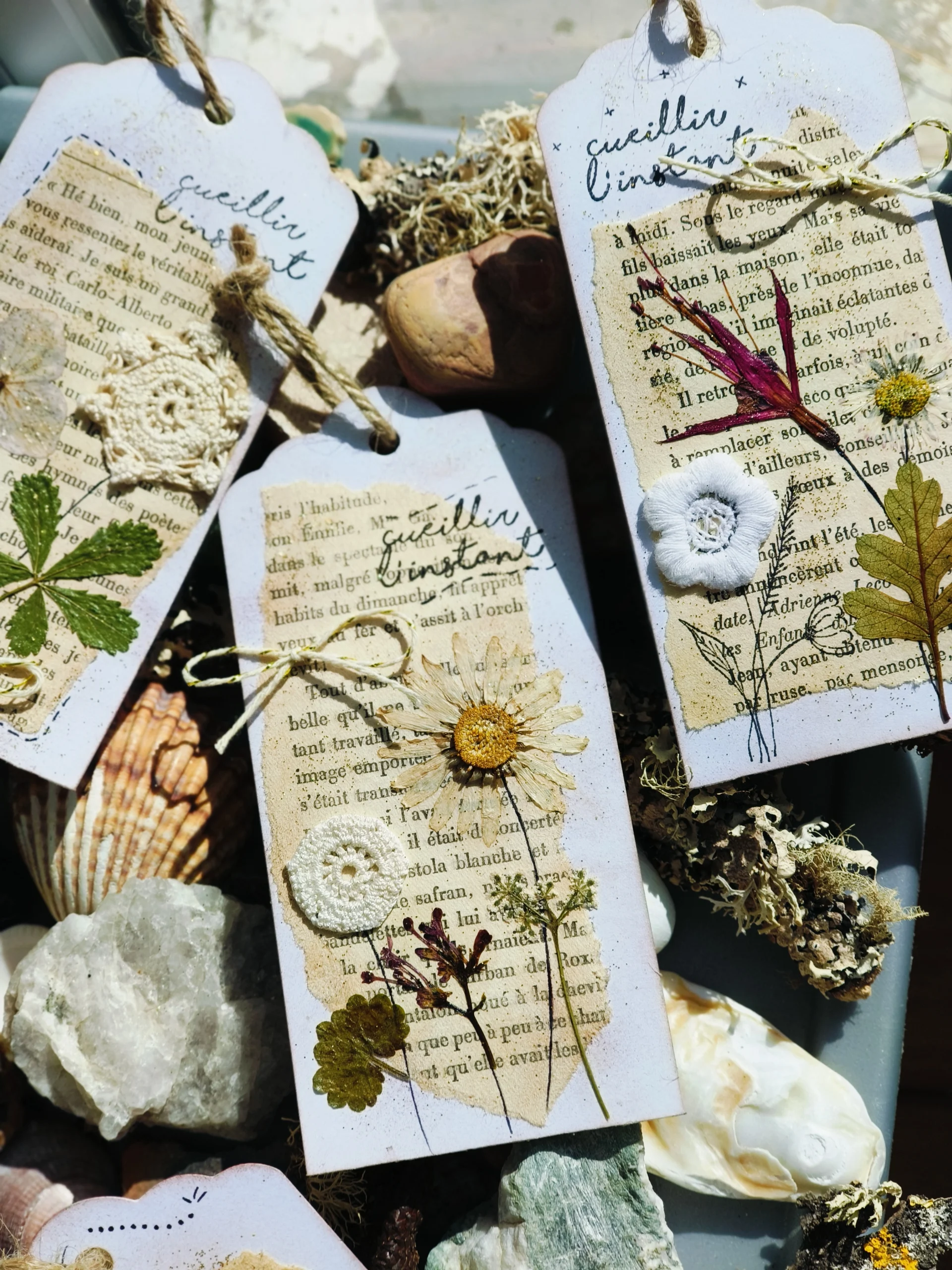 marque page, livre, lecture, fleurs séchées