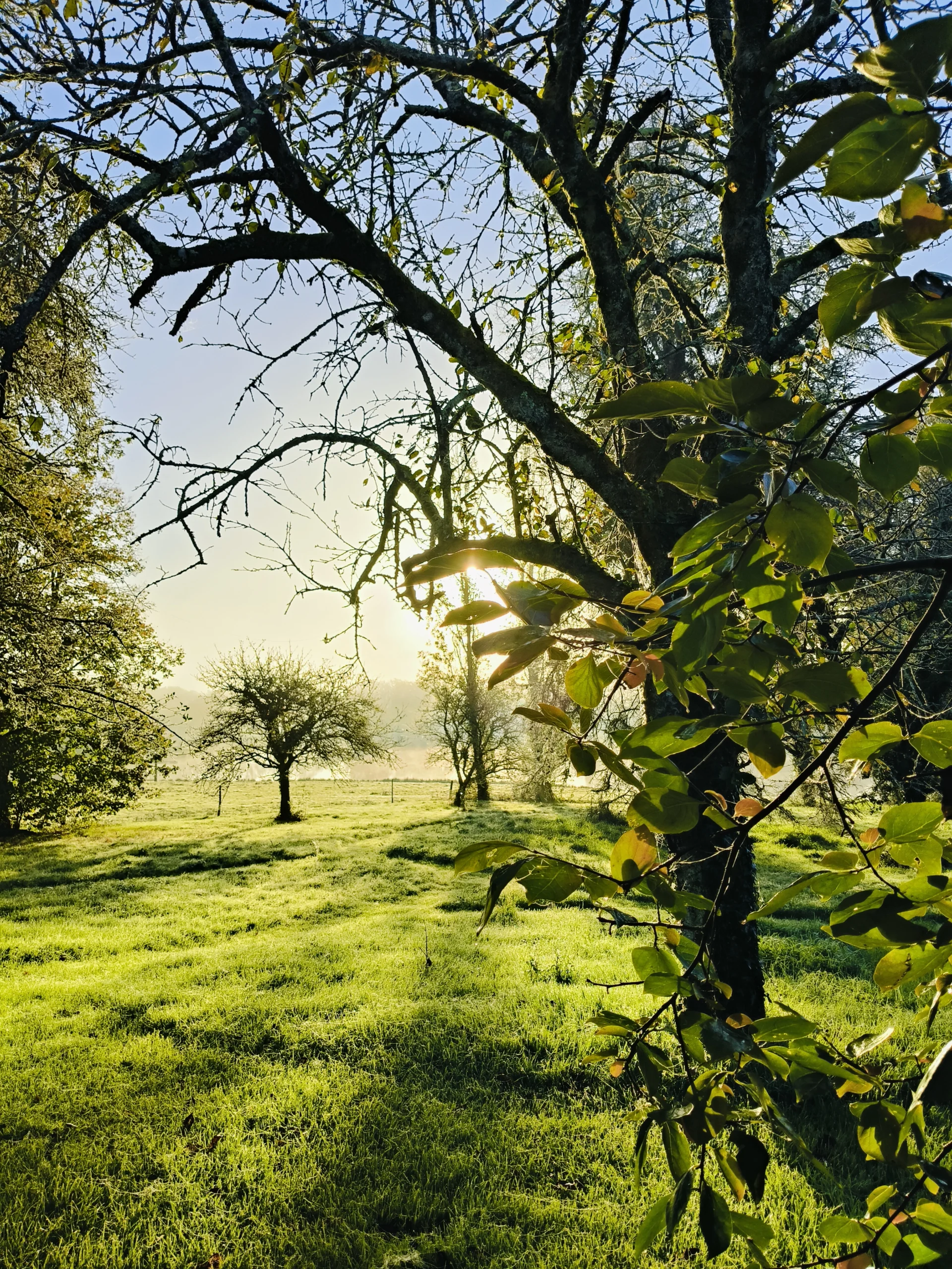 O détour d'un voyage - Luchapt - endroit paisible en pleine nature pour des ateliers DIY entre amis