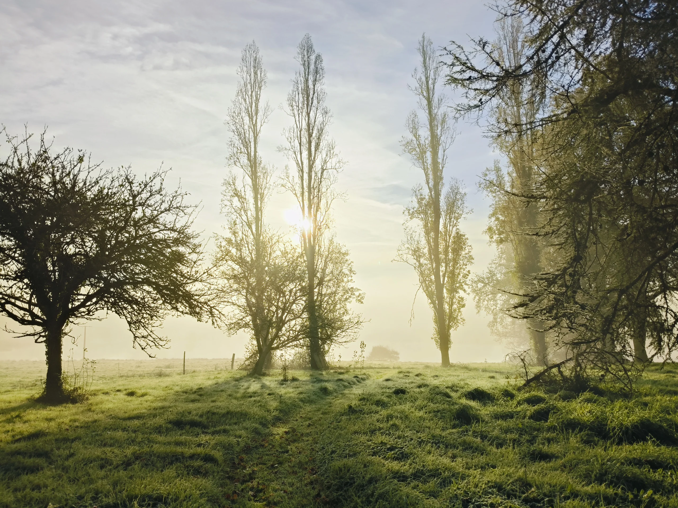nature, bien être, pause, douceur en Vienne