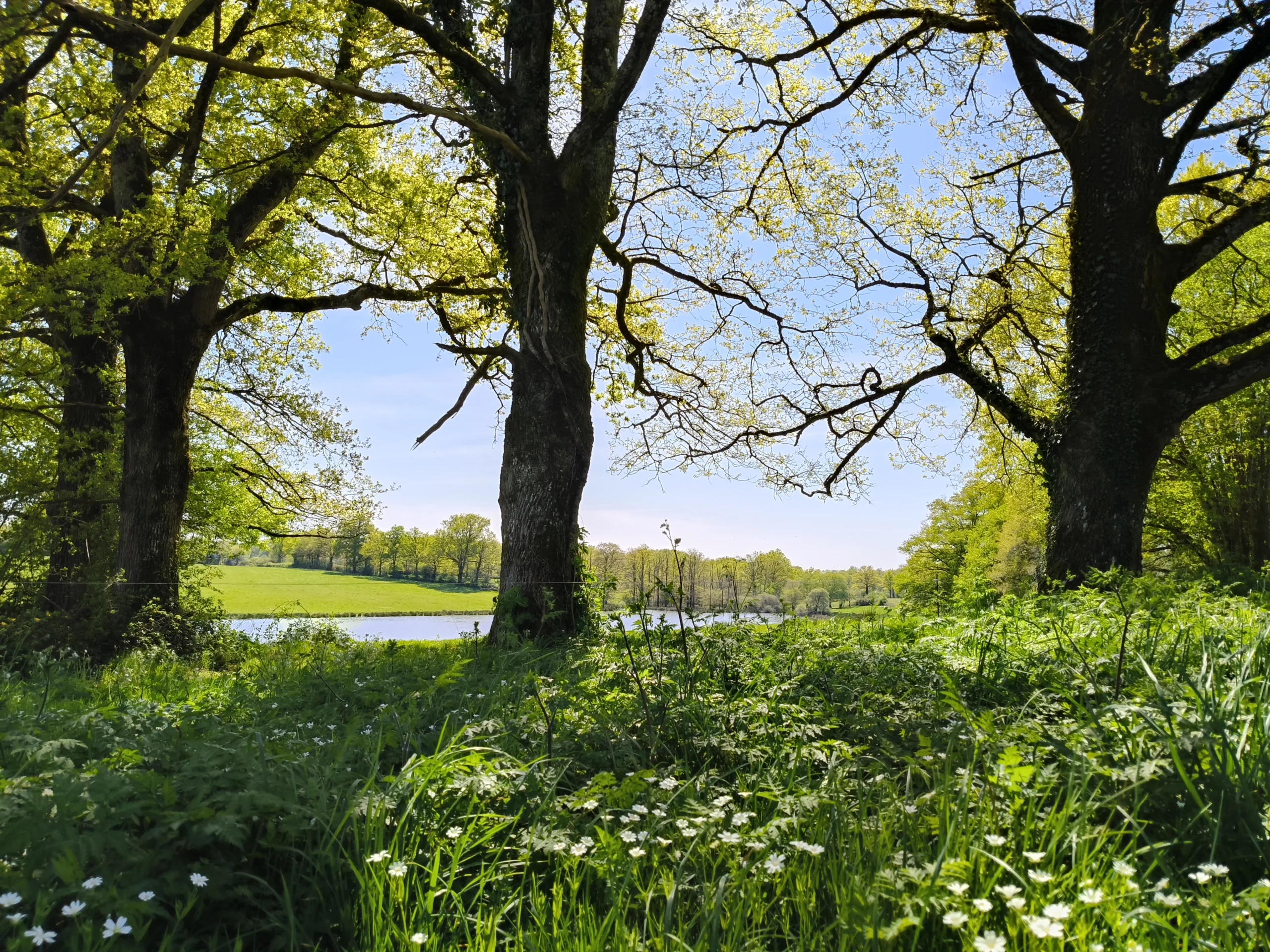 jardin paisible en pleine nature pour vos ateliers créatifs