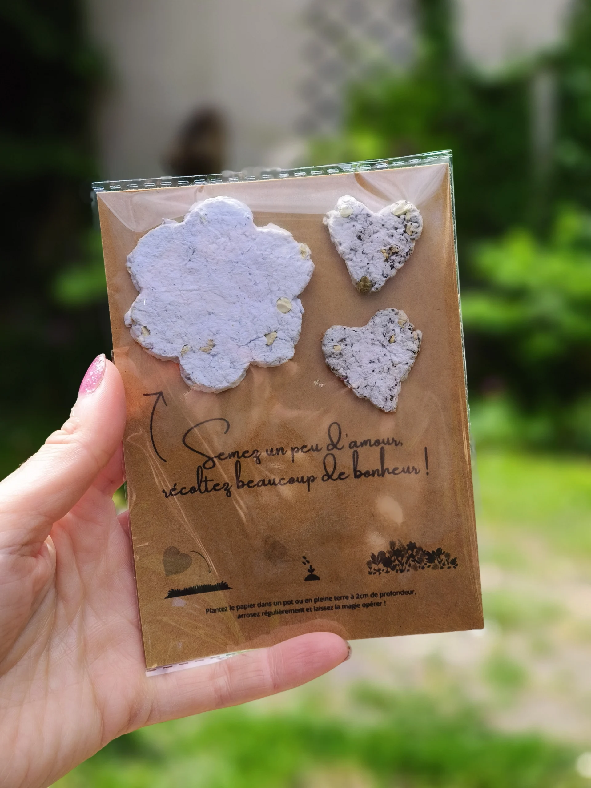 carte à semer avec les graines récoltées à Luchapt 86