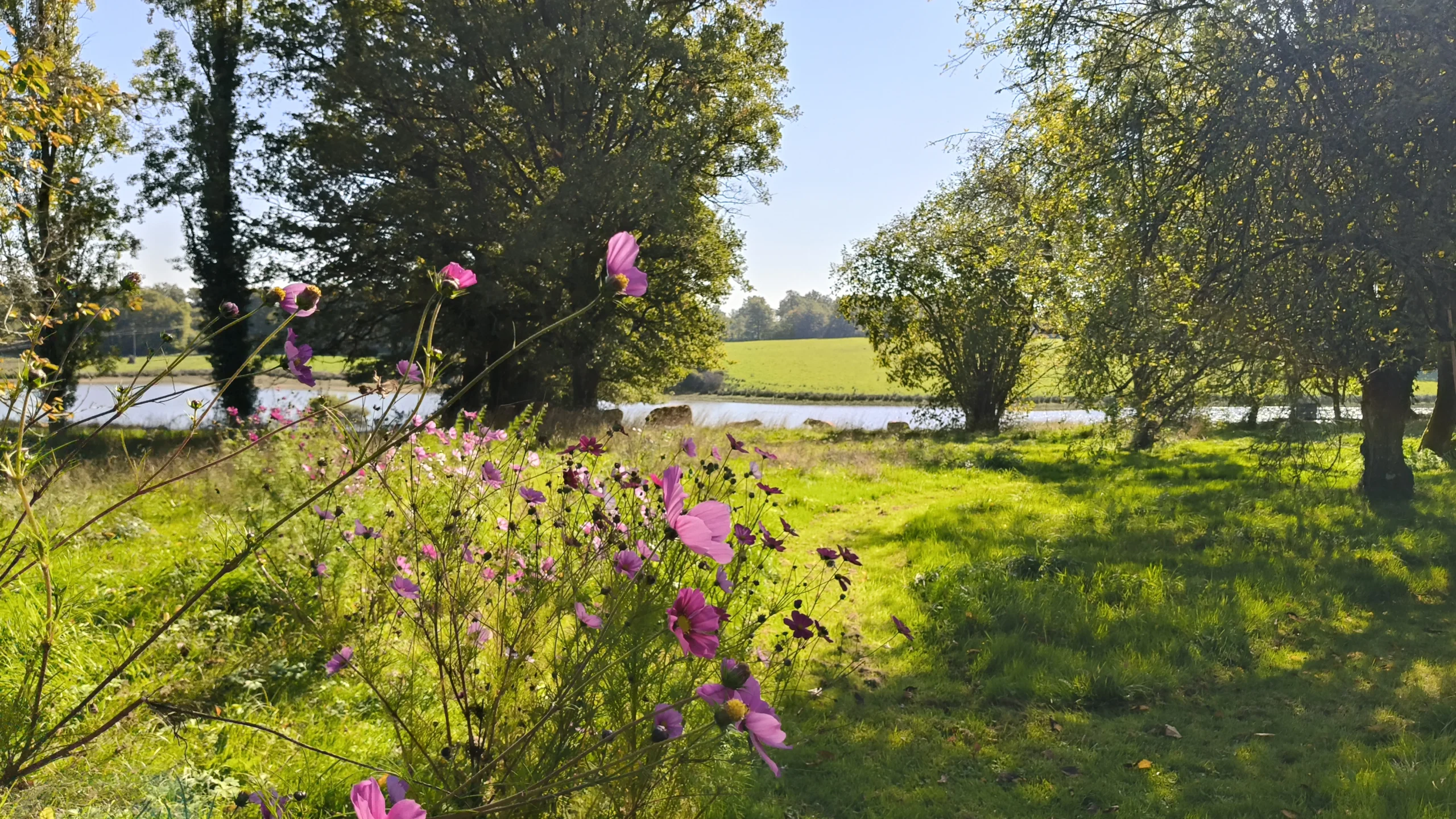 jardin floral Luchapt en Poitou charente