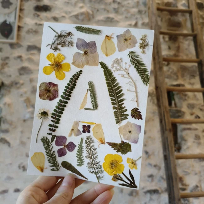 atelier fabrication d'un herbier avec des fleurs séchées