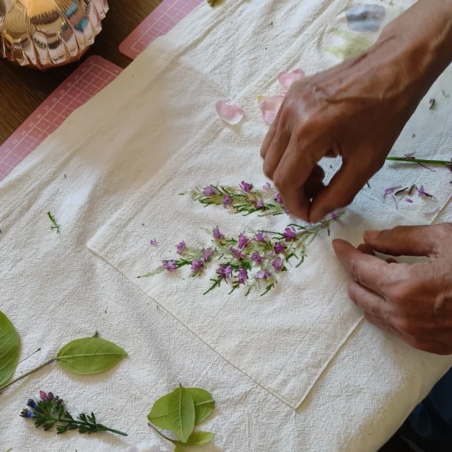 atelier bien être et médiation autour des plantes en Poitou charente