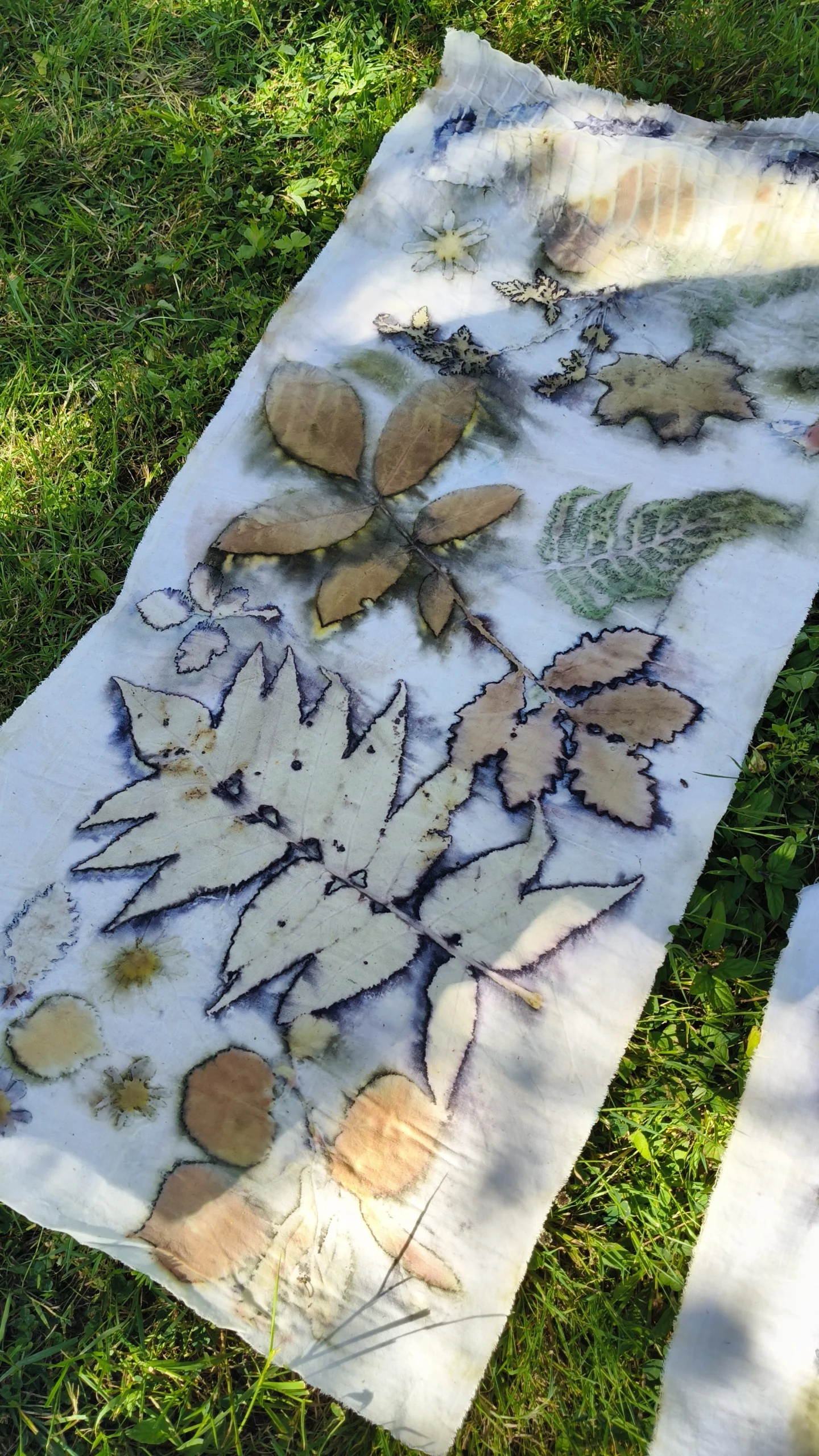 Ateliers d'impression végétale et teinture naturelle - ecoprint, impression végétale, stage Luchapt, vienne 86