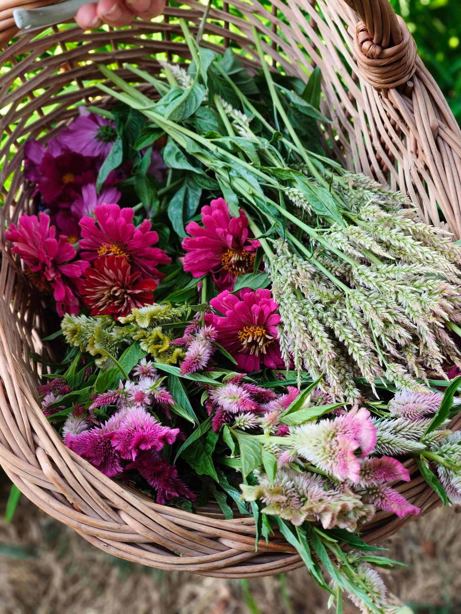 panier de fleurs fraiches