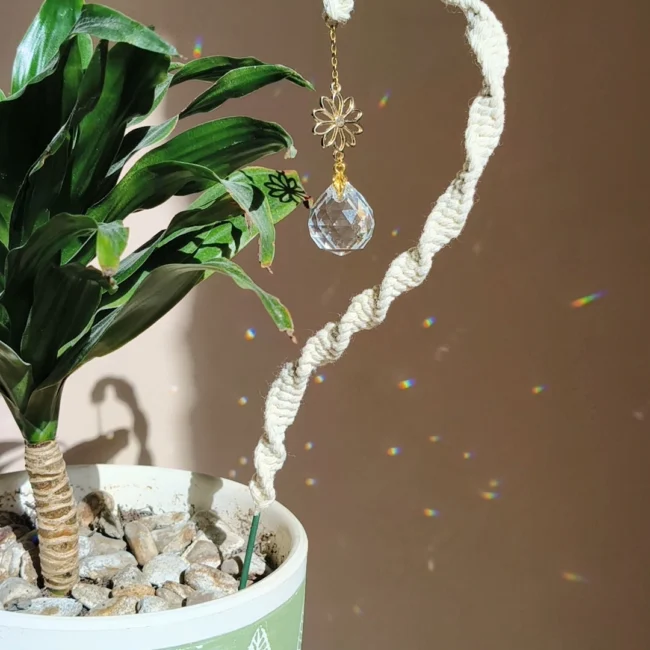 attrape soleil à plante, fleurs naturelles, décoration jardinière et déco maison