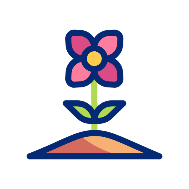 ferme florale, fleurs séchées